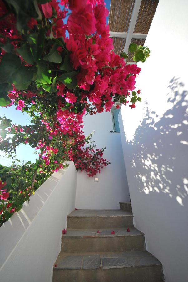 Ark Tinos Apartment Agios Ioannis  Exterior photo